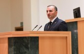 დავით გაბაიძემ,  საქართველოს პარლამენტის პლენარულ სხდომაზე „მაჭახლის დაცული ლანდშაფტის შექმნისა და მართვის შესახებ“ და „საქართველოს ადმინისტრაციულ სამ ...